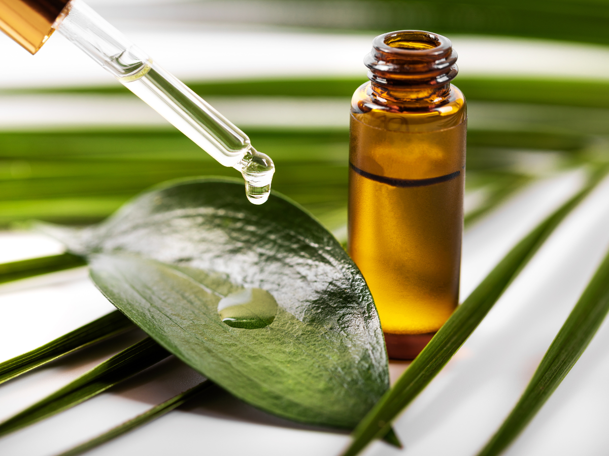 What Is Tea Tree Oil Good For